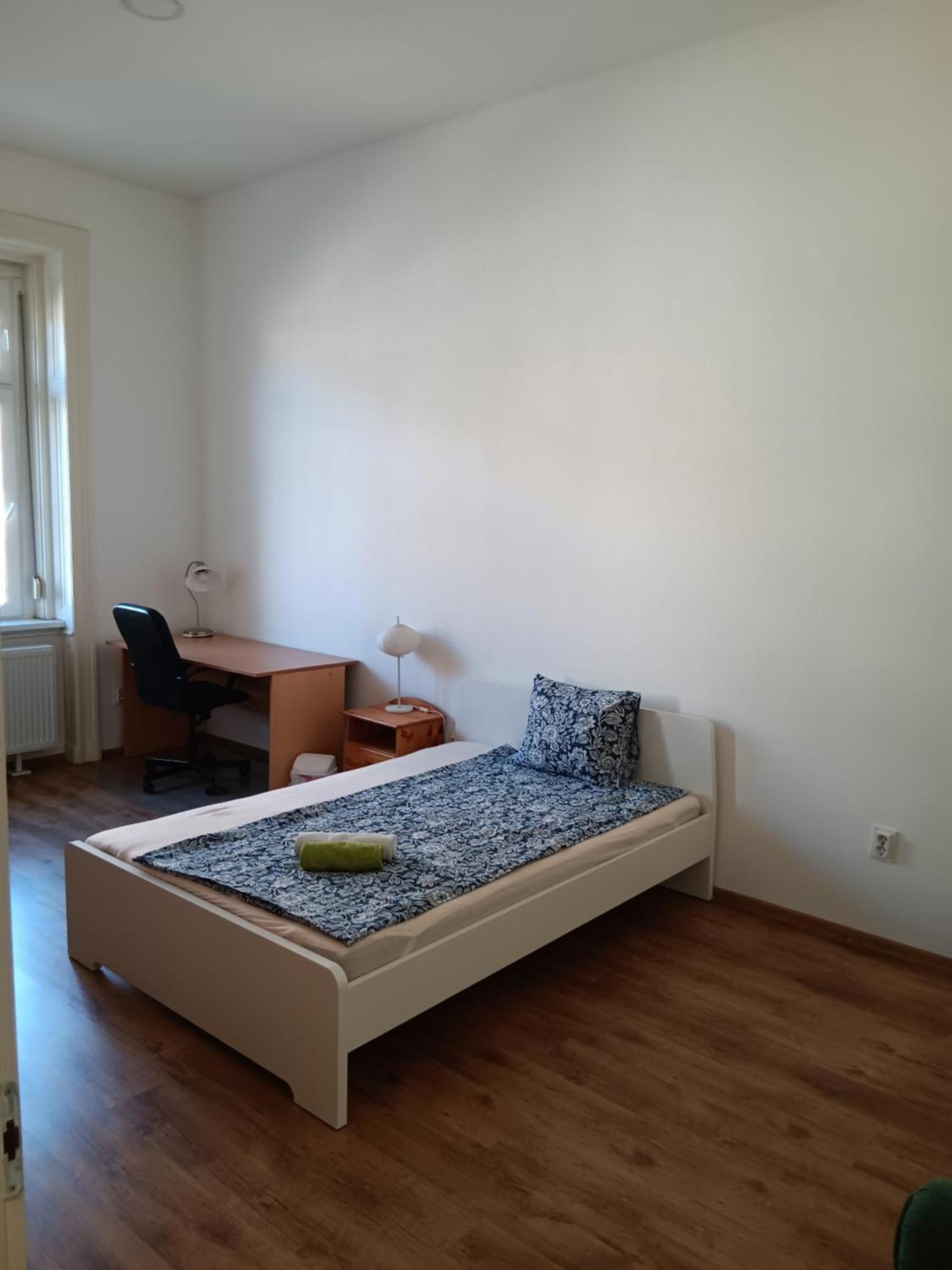Big Cozy - Skyfall Apartment 3 Bdrm 6 Beds 1&Half Baths Budapest Extérieur photo